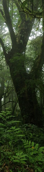 麻布学園山岳部