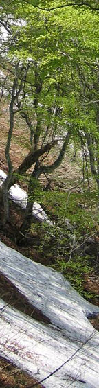 麻布学園山岳部